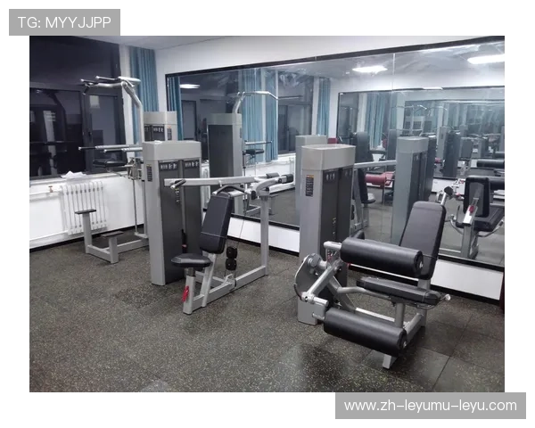 预算友好型腹肌器械：500元内高性价比器材TOP榜