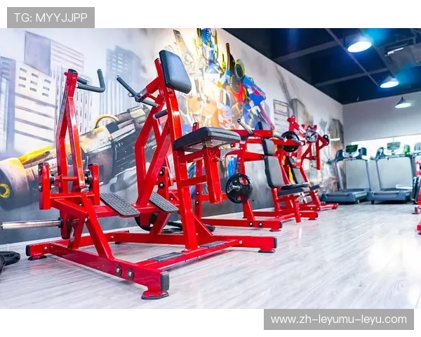 高端健身器材全景指南：提升训练效果的必备装备